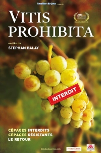 Vitis Prohibita